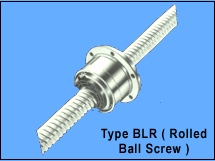 Type BLR (Rolled Ball Screw)